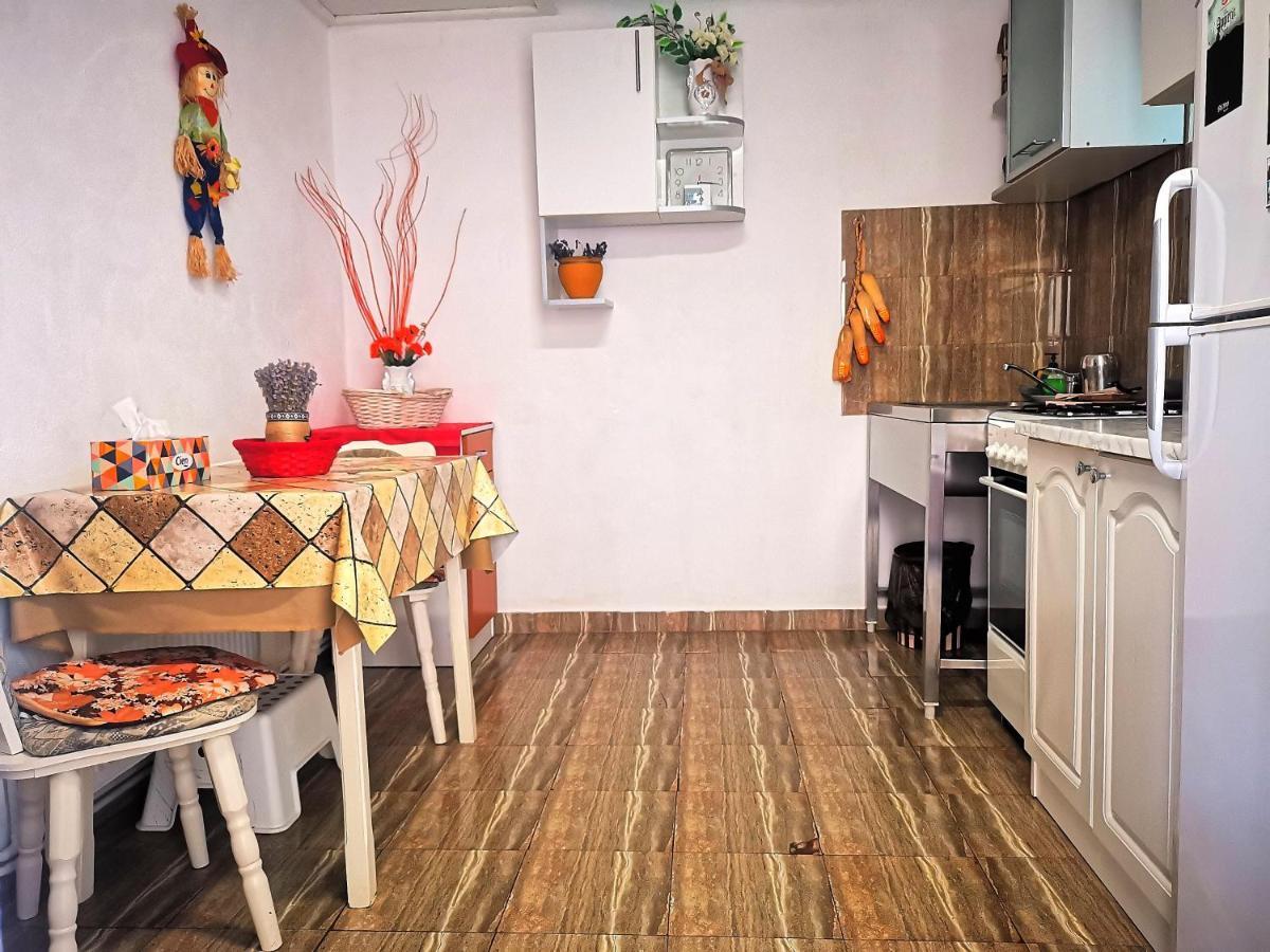 Вилла Casa Petrescu Куртя-де-Арджеш Экстерьер фото