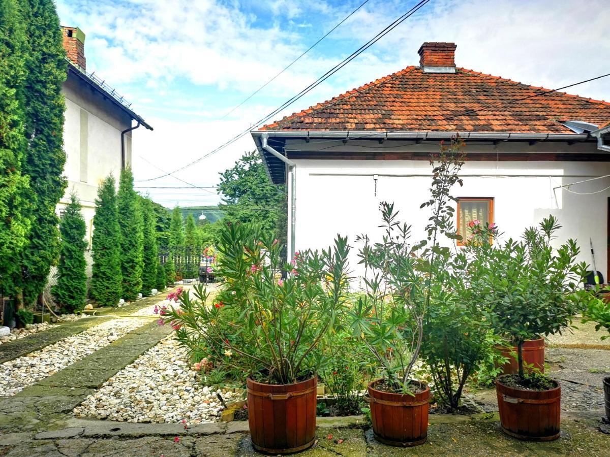 Вилла Casa Petrescu Куртя-де-Арджеш Экстерьер фото