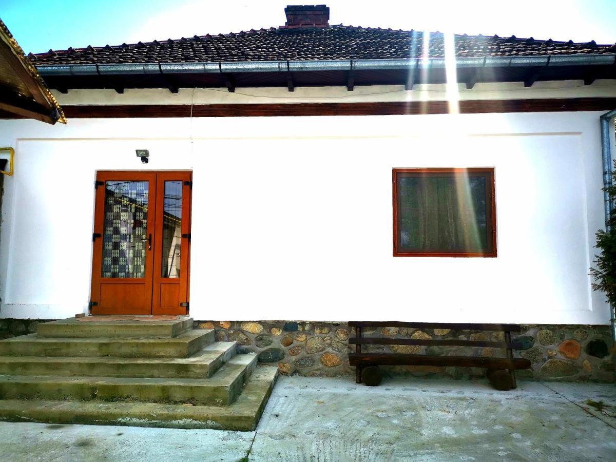 Вилла Casa Petrescu Куртя-де-Арджеш Экстерьер фото