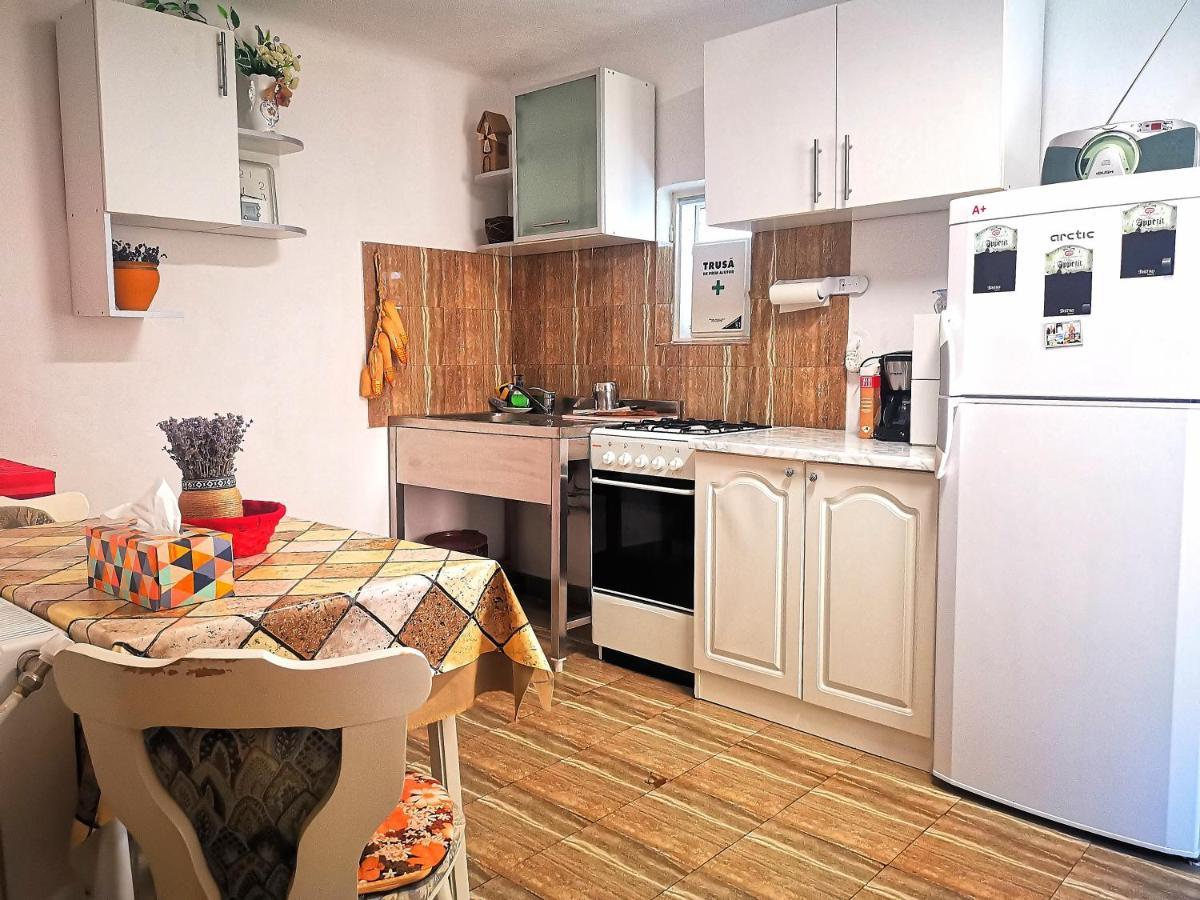 Вилла Casa Petrescu Куртя-де-Арджеш Экстерьер фото